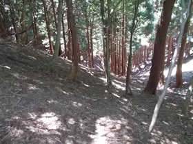 銅山