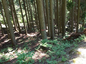 銅山
