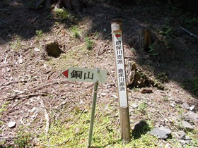 銅山