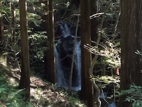 十年