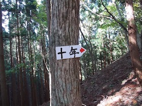 十年