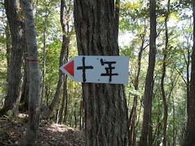 十年