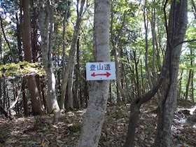 十年