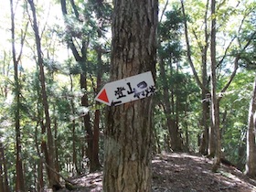 十年