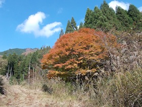 阿舎利山