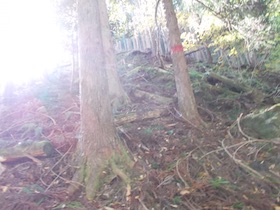 阿舎利山