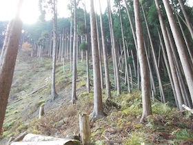 阿舎利山