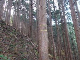 阿舎利山