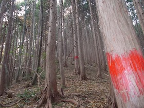 阿舎利山
