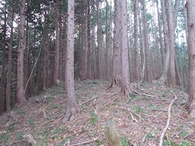 阿舎利山