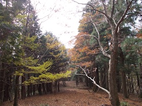 阿舎利山