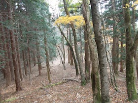 阿舎利山