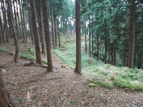 阿舎利山