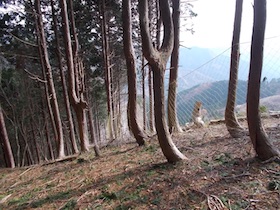 阿舎利山