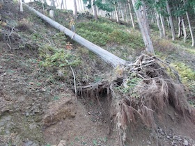 阿舎利山