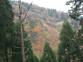 阿舎利山