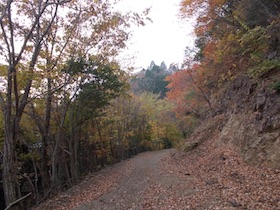 阿舎利山