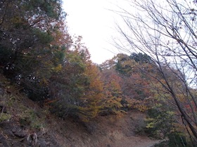 阿舎利山
