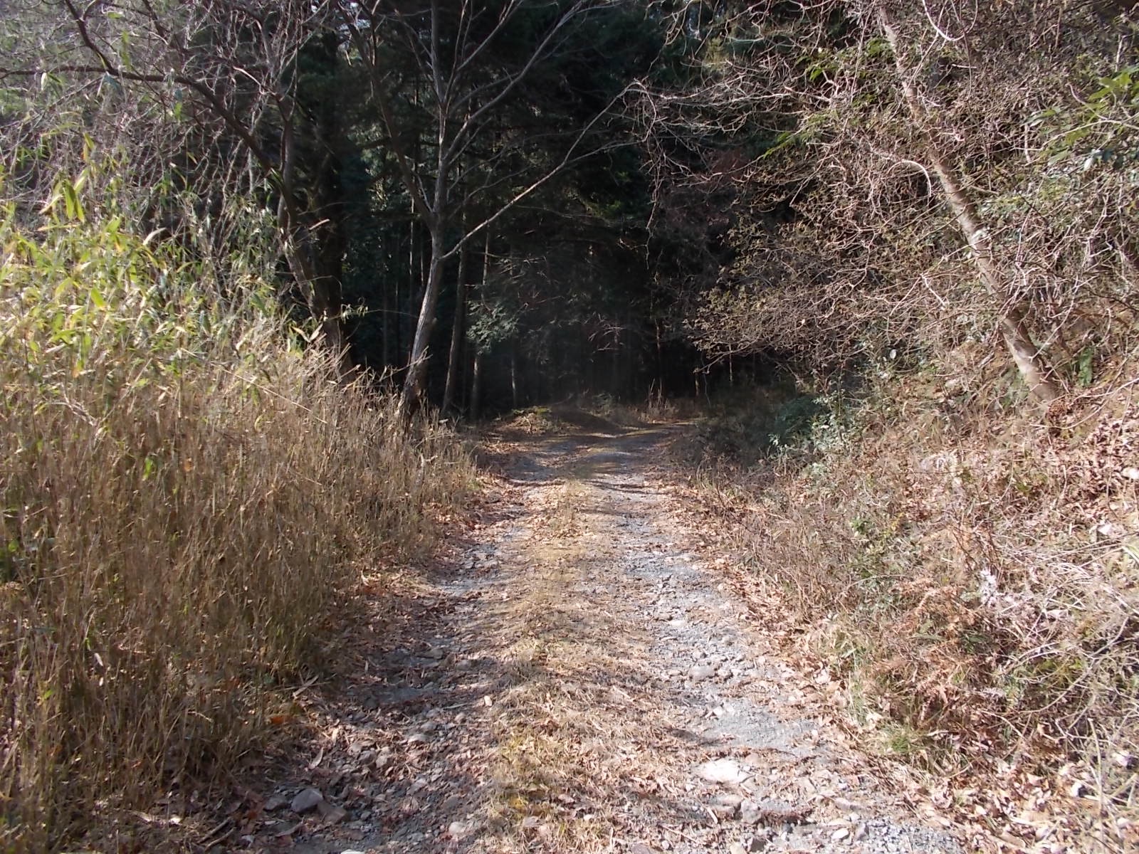  七種山