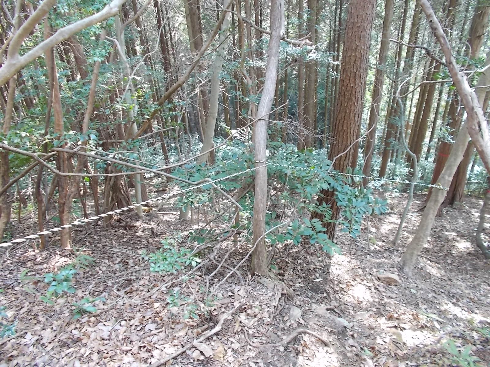 七種山
