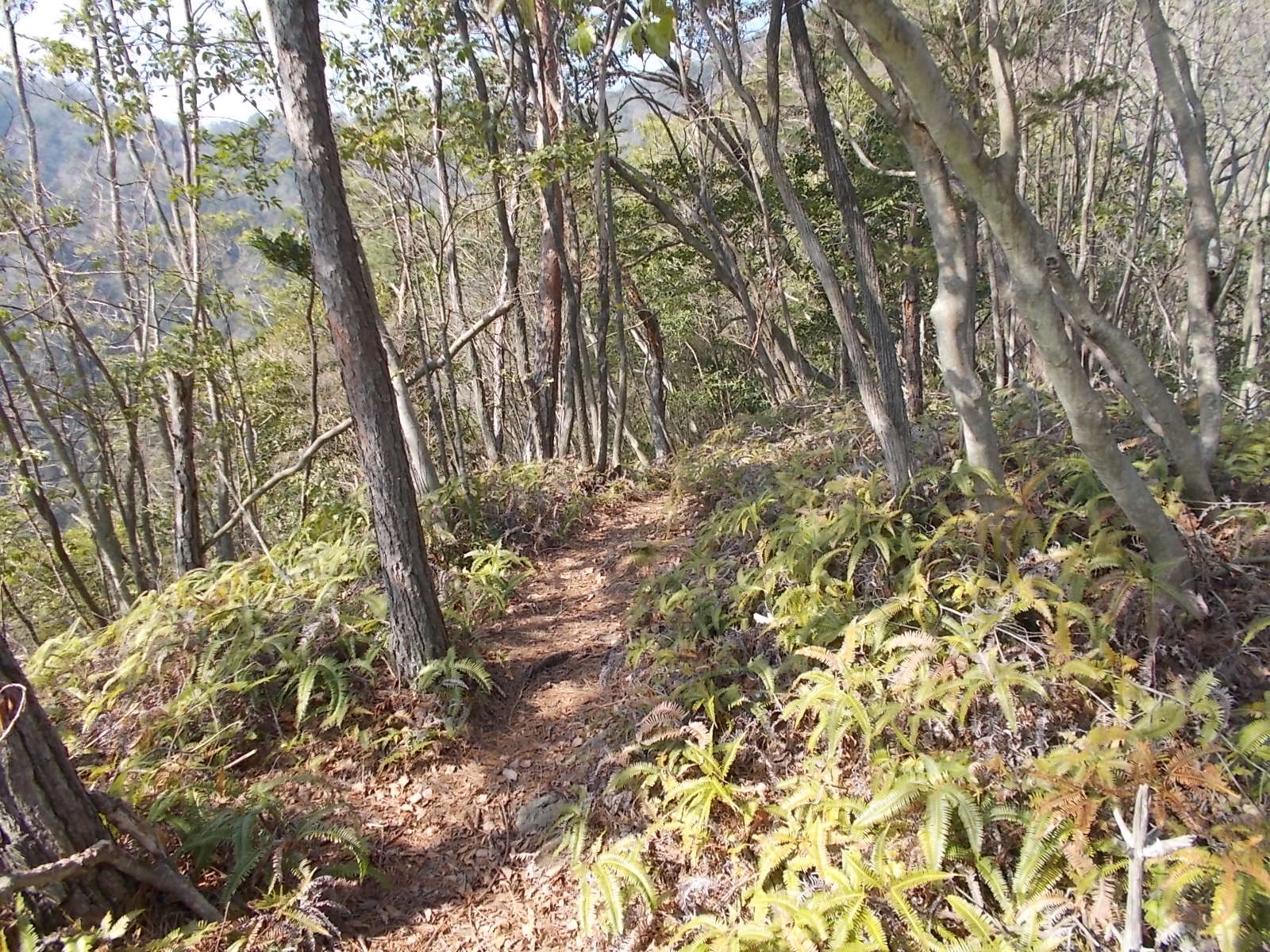 七種山