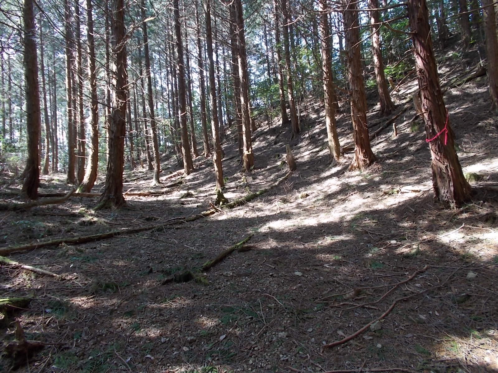 七種山