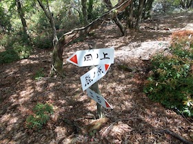 岡の上三山+暁晴山