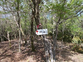 岡の上三山+暁晴山