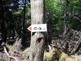 岡の上三山+暁晴山