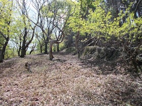 岡の上三山+暁晴山