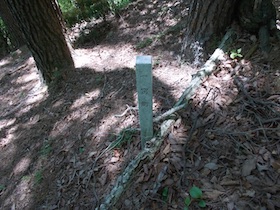 藤ヶ峰