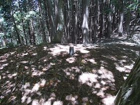 藤ヶ峰