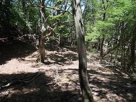 藤ヶ峰