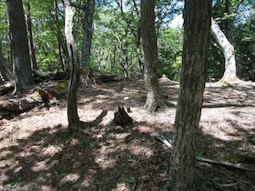 藤ヶ峰