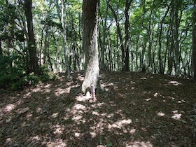 藤ヶ峰