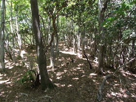 藤ヶ峰