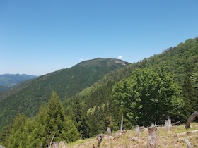 藤ヶ峰
