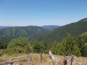 藤ヶ峰
