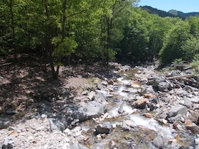 藤ヶ峰
