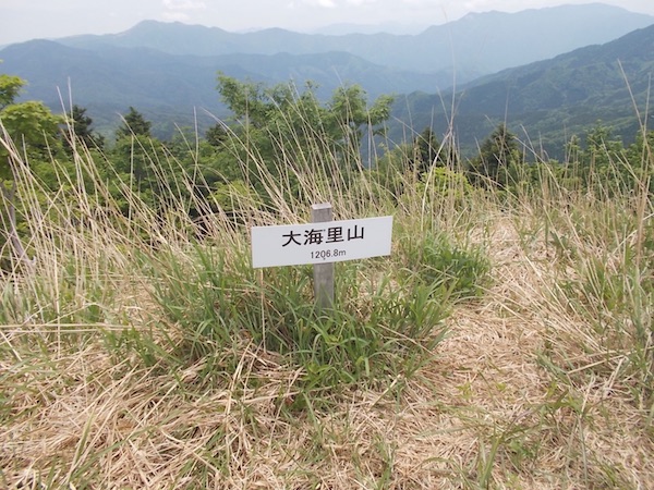 大海里山