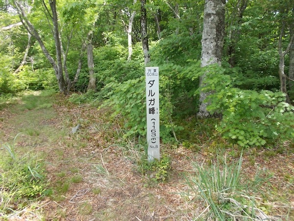 ダルガ峰