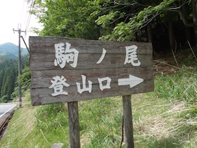 大海里山