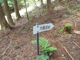 大海里山