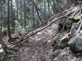 大海里山