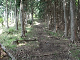 大海里山