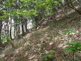大海里山