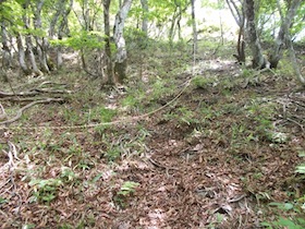大海里山