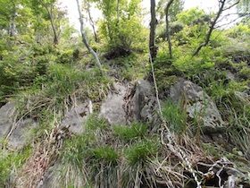 大海里山