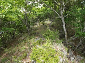 大海里山