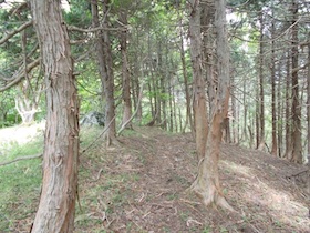 大海里山